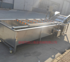 去農藥殘留清洗機